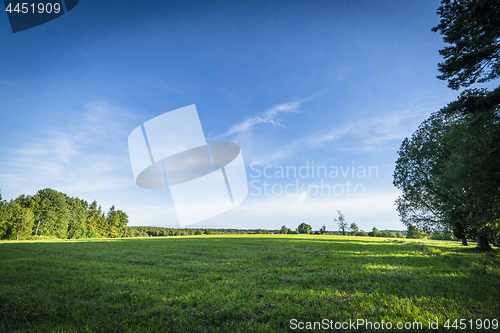Image of Green fields and blue sky in the summer