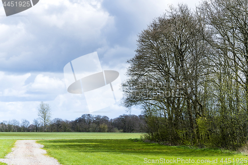 Image of Spring landscape with green fields surrounded by trees