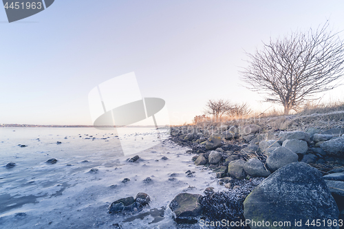 Image of Coastline by a frozen sea in the winter