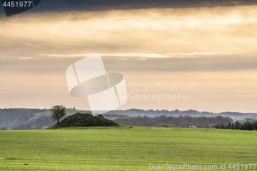 Image of Historic barrow hill on a green field in Denmark