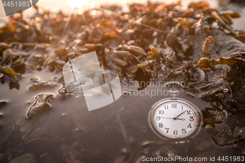 Image of Antique pocket watch under water on a lake