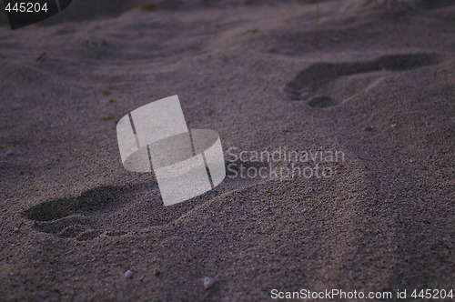 Image of Footprints in sand