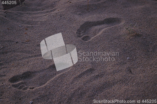 Image of Footprints in sand