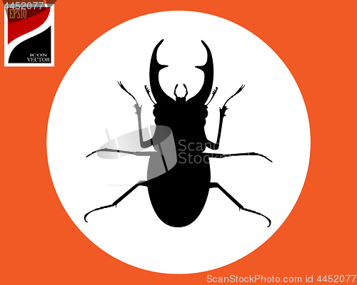 Image of silhouette of a stag beetle