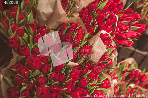 Image of Red tulip flowers in brown paper bags
