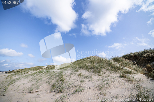 Image of Sand dunes on a nordic beach in the summer