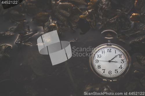 Image of Pocket watch floating in a dark lake