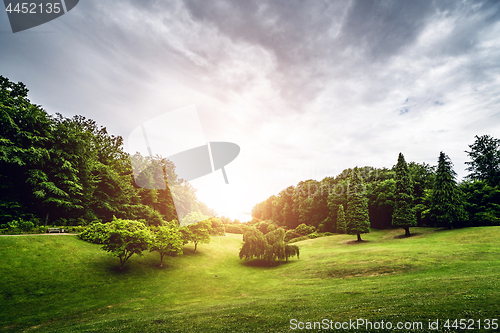 Image of Landscape with a sunset over a park