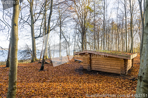 Image of Shelter made of wood in a forest