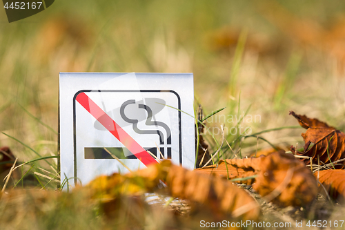 Image of No smoking sign in the nature with autumn leaves