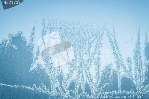 Image of Abstract frost on a window in the winter