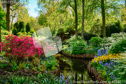 Image of Keukenhof flower garden. Lisse, the Netherlands.