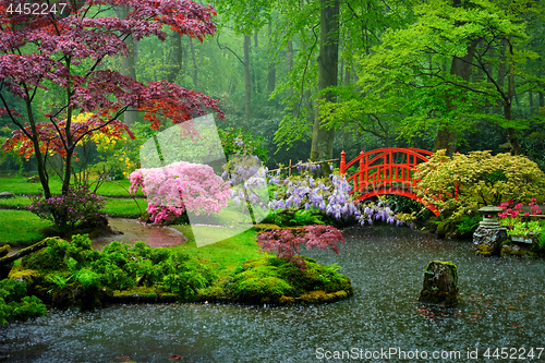 Image of Japanese garden, Park Clingendael, The Hague, Netherlands