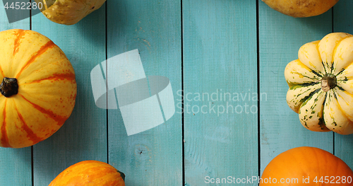 Image of Big yellow pumpkins in circle