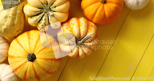 Image of Pile of ripe pumpkins