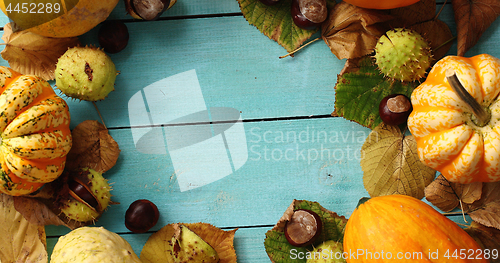 Image of Vegetables and leaves laid in circle