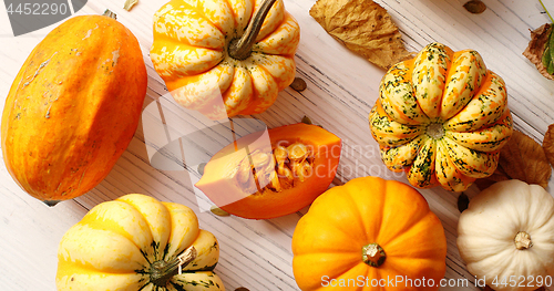 Image of Orange pumpkins laid in disorder
