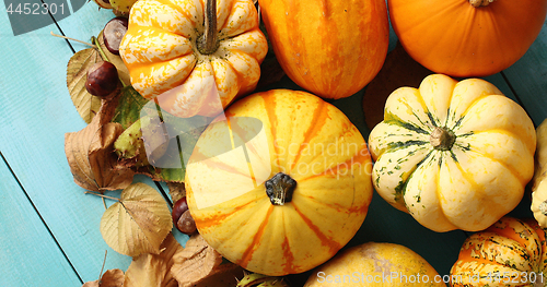 Image of Pile of pumpkins decorated with leaves and chestnuts