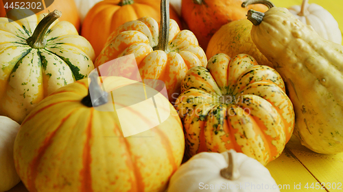 Image of Pile of yellow pumpkins