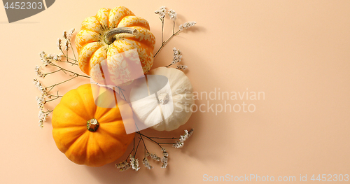 Image of Three pumpkins laid on herbs