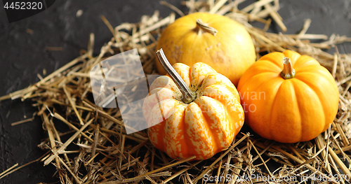 Image of Three pumpkins on pile of hay