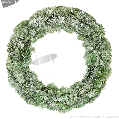 Image of Spruce Fir Winter Wreath
