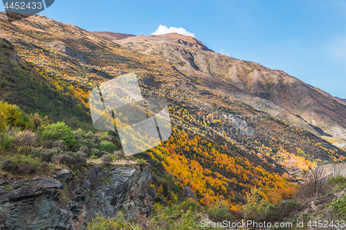 Image of Mountains near Kawarau river, Queenstown, New Zealand