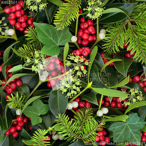 Image of Christmas Holly Ivy and Mistletoe