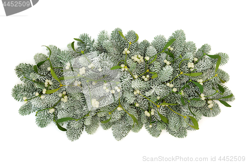 Image of Mistletoe and Spruce Pine Fir Decoration