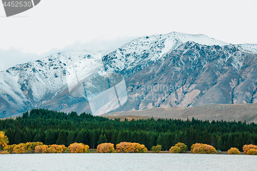 Image of Lake Tekapo, South Island, New Zealand