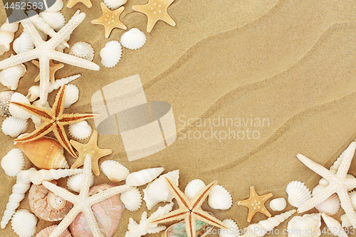 Image of Seashells on the Seashore
