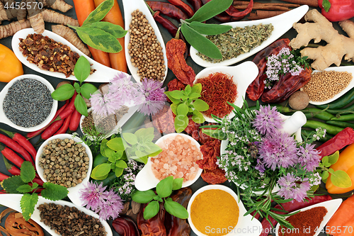 Image of Herb and Spice Seasoning Selection