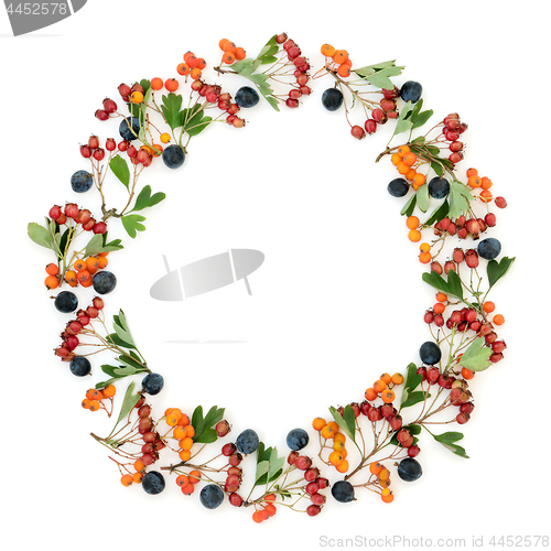 Image of Autumn Berry Wreath