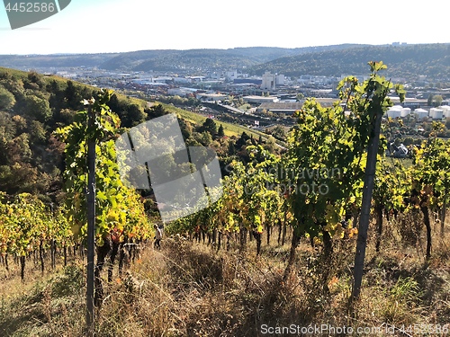 Image of vineyards in the Stuttgart area