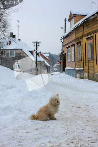 Image of Winter in town