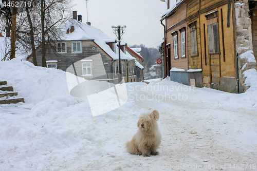 Image of Winter in town