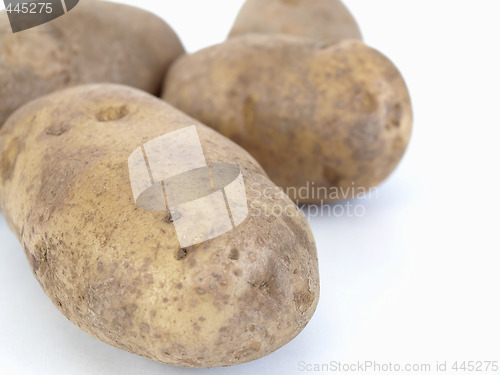 Image of Taters