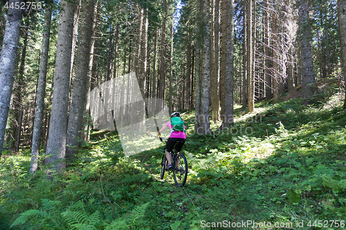 Image of Active sporty woman riding mountain bike on forest trail .