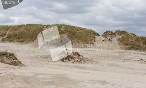 Image of Sandy desert.