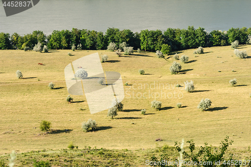 Image of Typical landscape of Moldova