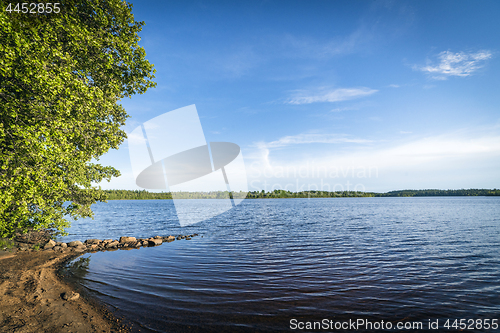 Image of Beach by a large forest lake in the summer