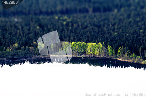 Image of Green trees by a lake shore with dark reflections