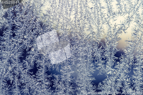 Image of Frost patterns on a window in the winter