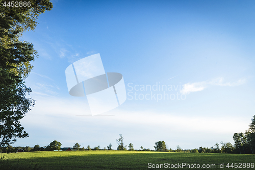 Image of Green field under a blue sky in the spring