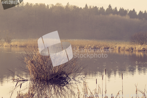 Image of Lake near a forest in the morning sunrise