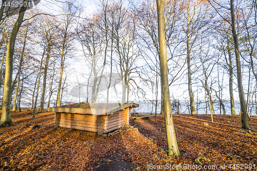 Image of Wooden shelter in a forest