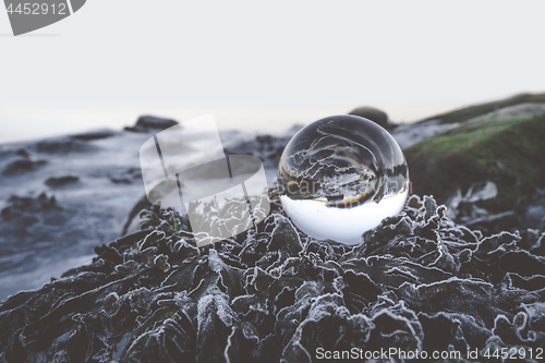 Image of Glass orb on frozen leaves in the winter