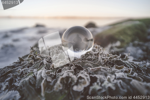 Image of Crystal ball in the nature with a silhouette of a person