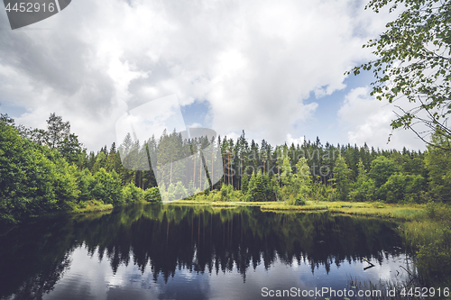 Image of Calm lake wirh dark water in the middle of a forest