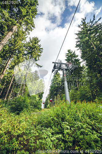 Image of Mountain lift on a green forest with tall pine